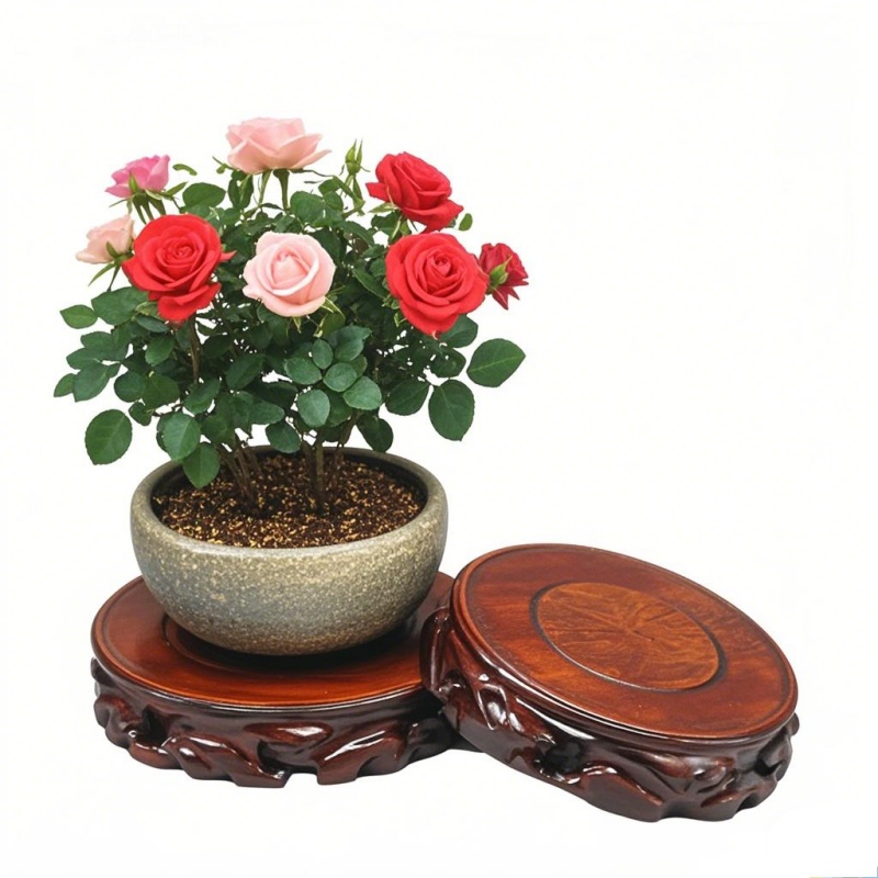 Wooden Plant Saucer & Flower P - Coffee Tea For Garden ulasan dan harga